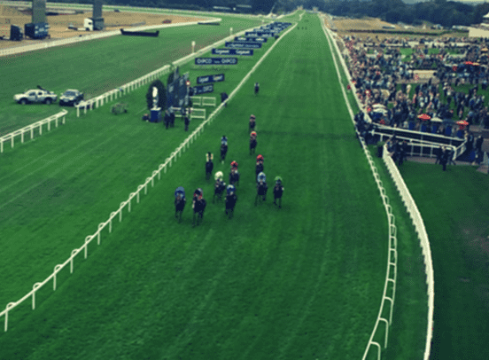 A racetrack with a horse race underway