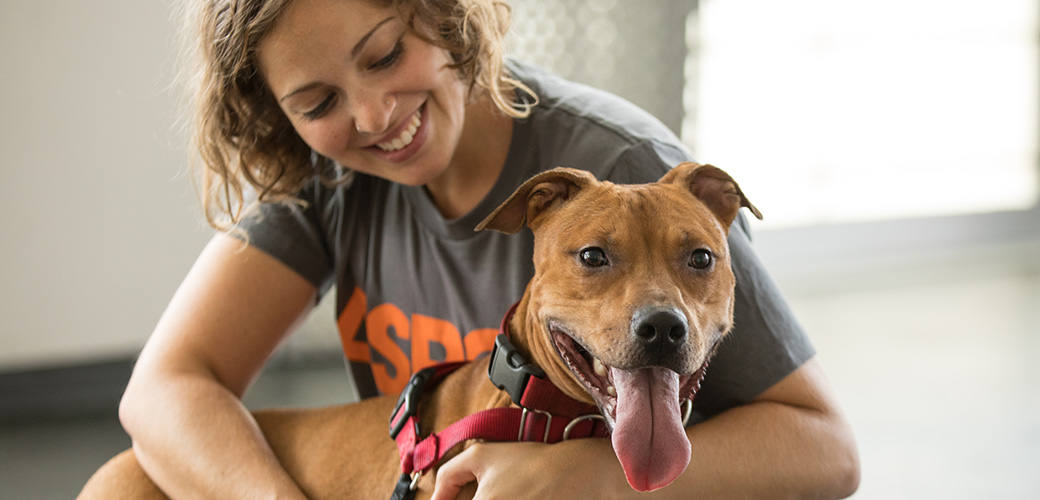 A woman wearing an orange and grey t-shirt petting a brown dog wearing a red harness that is panting with its tongue out.