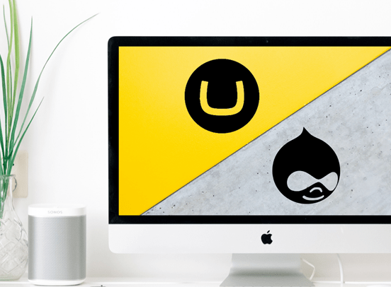 Umbraco vs Drupal on a computer screen. A vase with a green plant sits to the left of a white speaker.